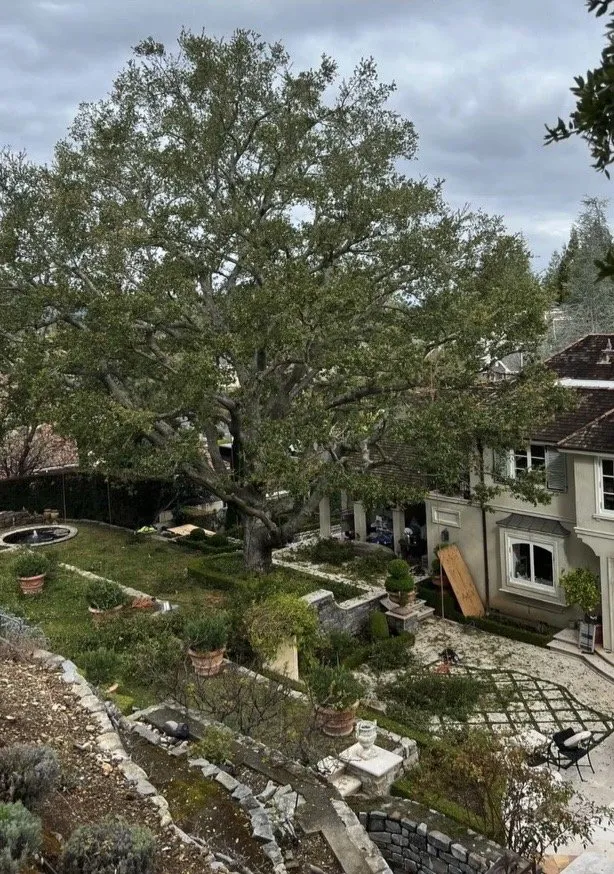 Trusted garden landscaping for homes in Gustine, CA by Jimenez Tree service