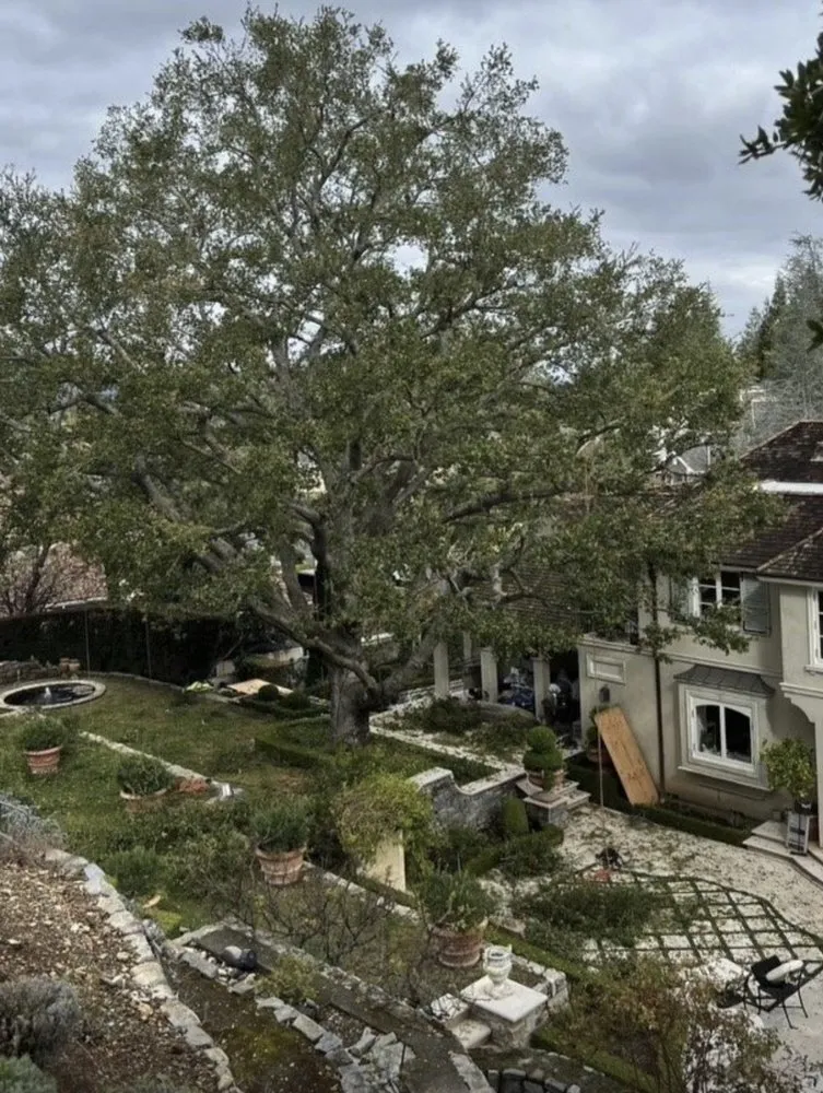 Expert residential landscaping in Gustine, CA - Jimenez Tree service