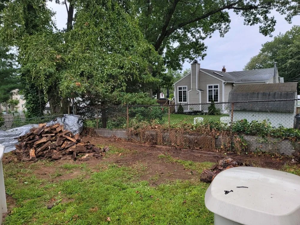 Affordable yard cleanup service experts serving Bergenfield, NJ - Jimi On The Spot