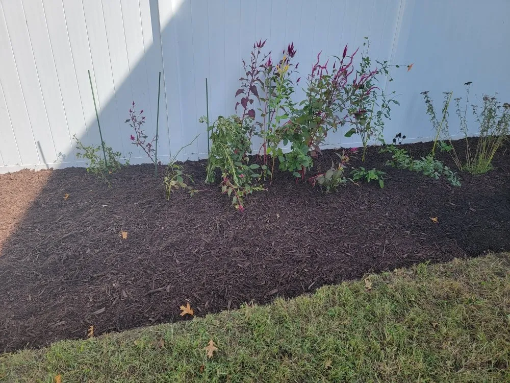 Trusted garden landscaping experts serving Bergenfield, NJ - Jimi On The Spot