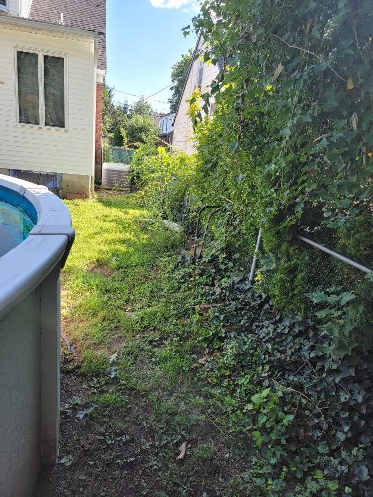 Professional landscape design experts serving Bergenfield, NJ - Jimi On The Spot