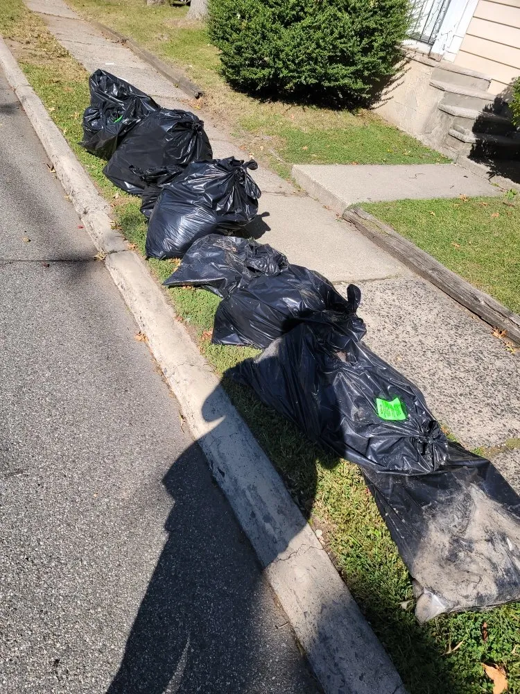 Professional yard maintenance near you across Bergenfield, NJ - Jimi On The Spot