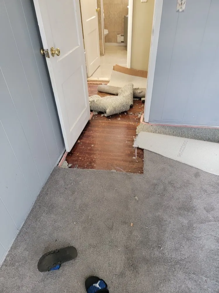 Professional lawn mowing service in Bergenfield, NJ by Jimi On The Spot