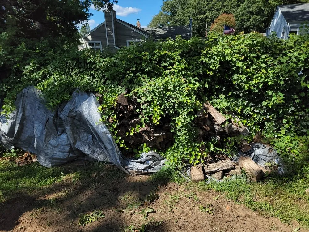 Custom garden landscaping for residential properties across Bergenfield, NJ - Jimi On The Spot