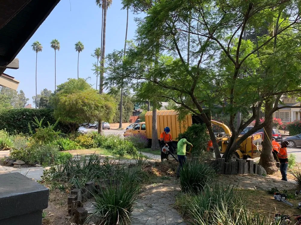 Top-rated garden landscaping for outdoor upgrades across Van Nuys, CA - Jimmie's Tree Company
