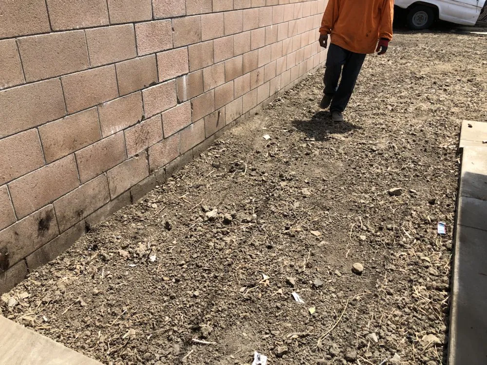 Custom landscape design in Van Nuys, CA - Jimmie's Tree Company