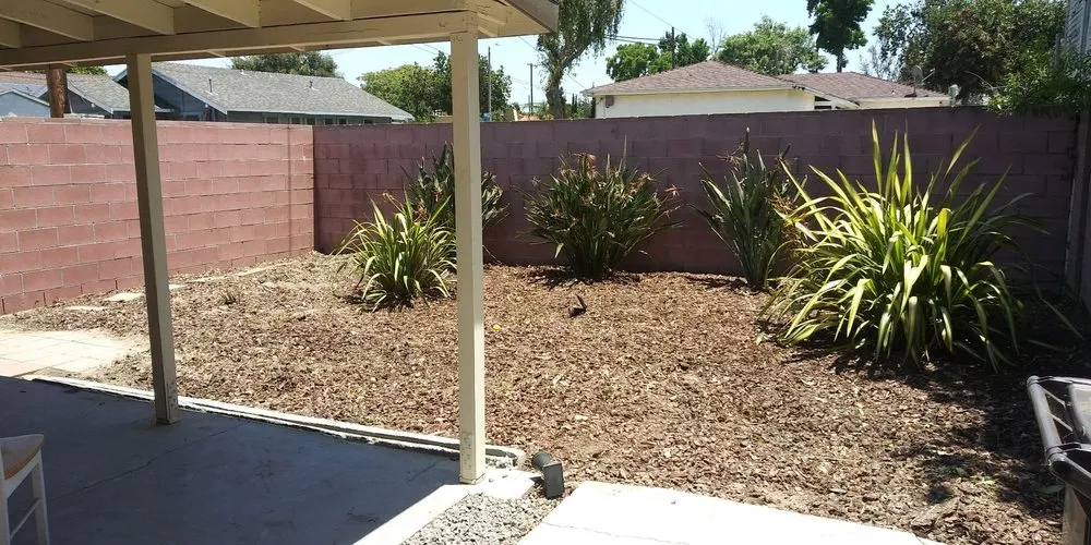 Affordable yard cleanup service experts serving Van Nuys, CA - Jimmie's Tree Company