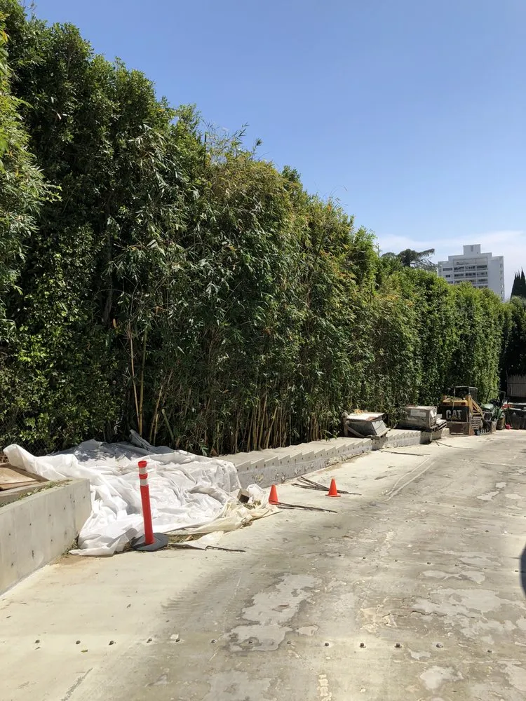 Professional landscaping services in Van Nuys, CA by Jimmie's Tree Company