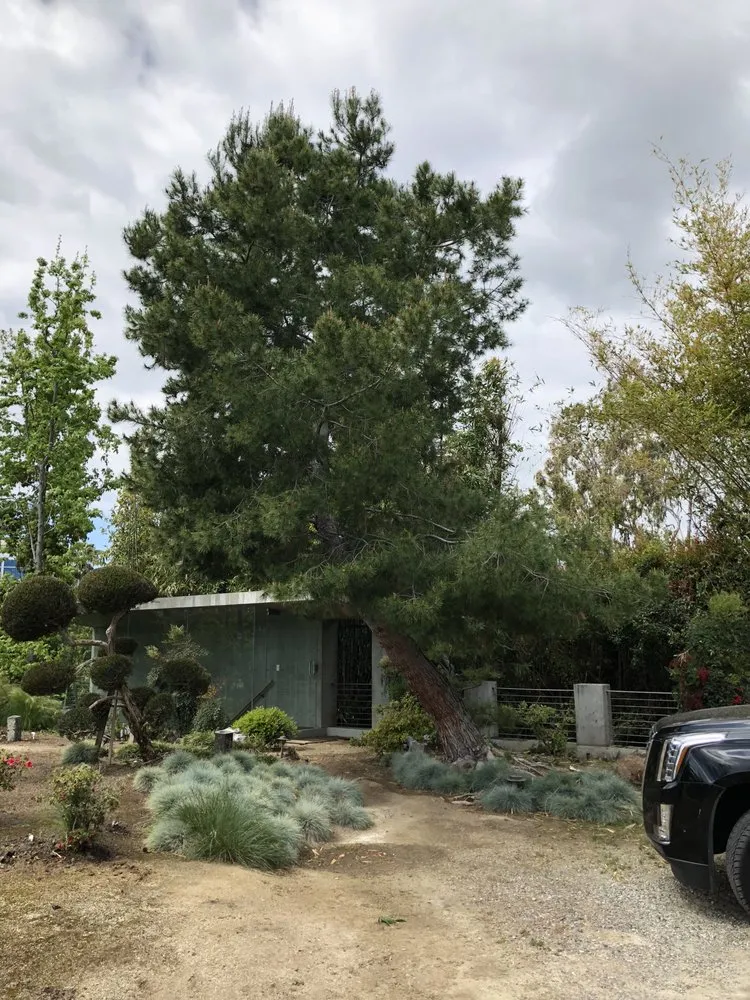 Expert landscaping services in Van Nuys, CA by Jimmie's Tree Company