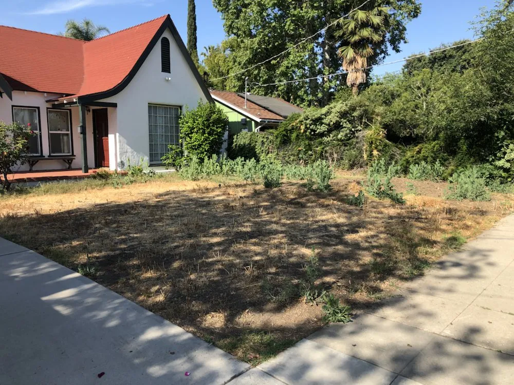 Top-rated garden landscaping experts serving Van Nuys, CA - Jimmie's Tree Company