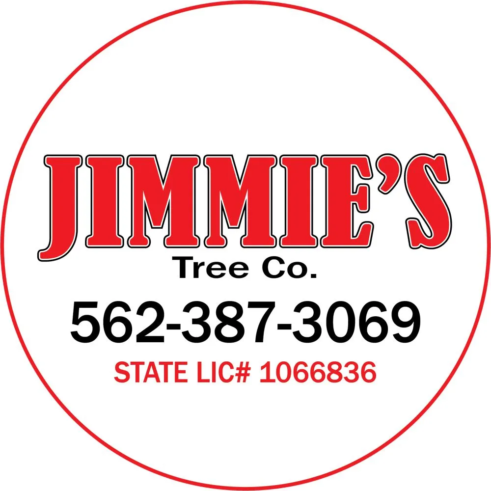Custom outdoor landscaping in Van Nuys, CA by Jimmie's Tree Company