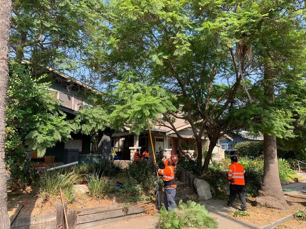 Reliable lawn mowing service near you across Van Nuys, CA - Jimmie's Tree Company