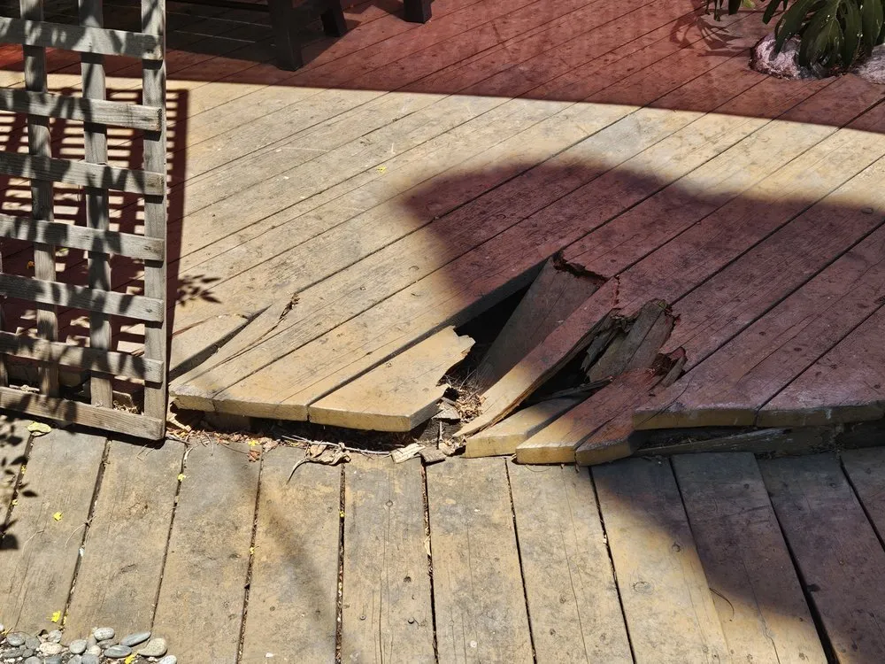 Local lawn care service near you in Long Beach, CA by Jimmie's Tree Service