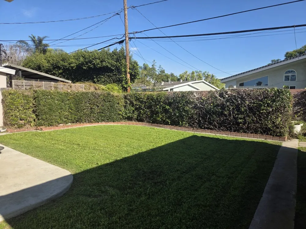 Reliable landscape design in Long Beach, CA by Jimmie's Tree Service