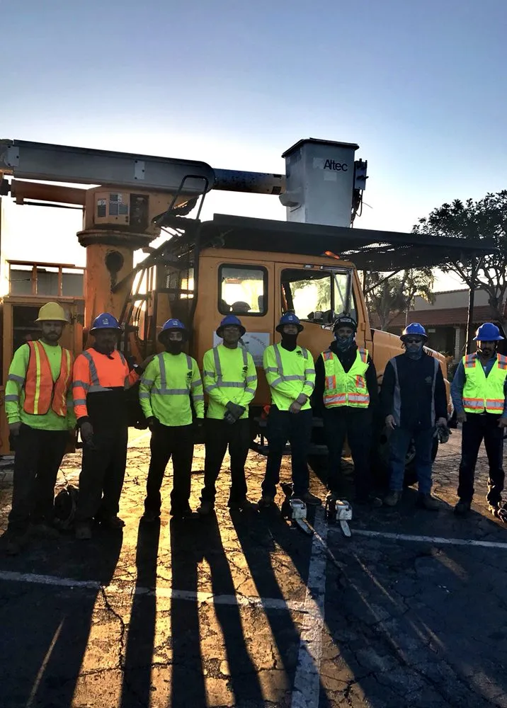 Local garden landscaping in Long Beach, CA by Jimmie's Tree Service