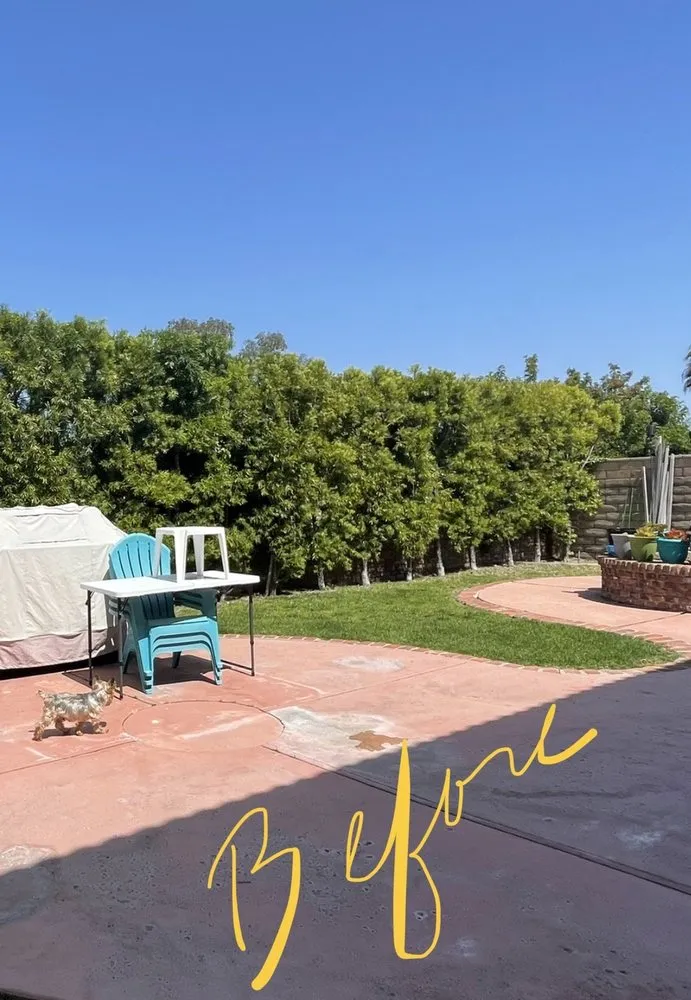 Professional residential landscaping in Long Beach, CA by Jimmie's Tree Service