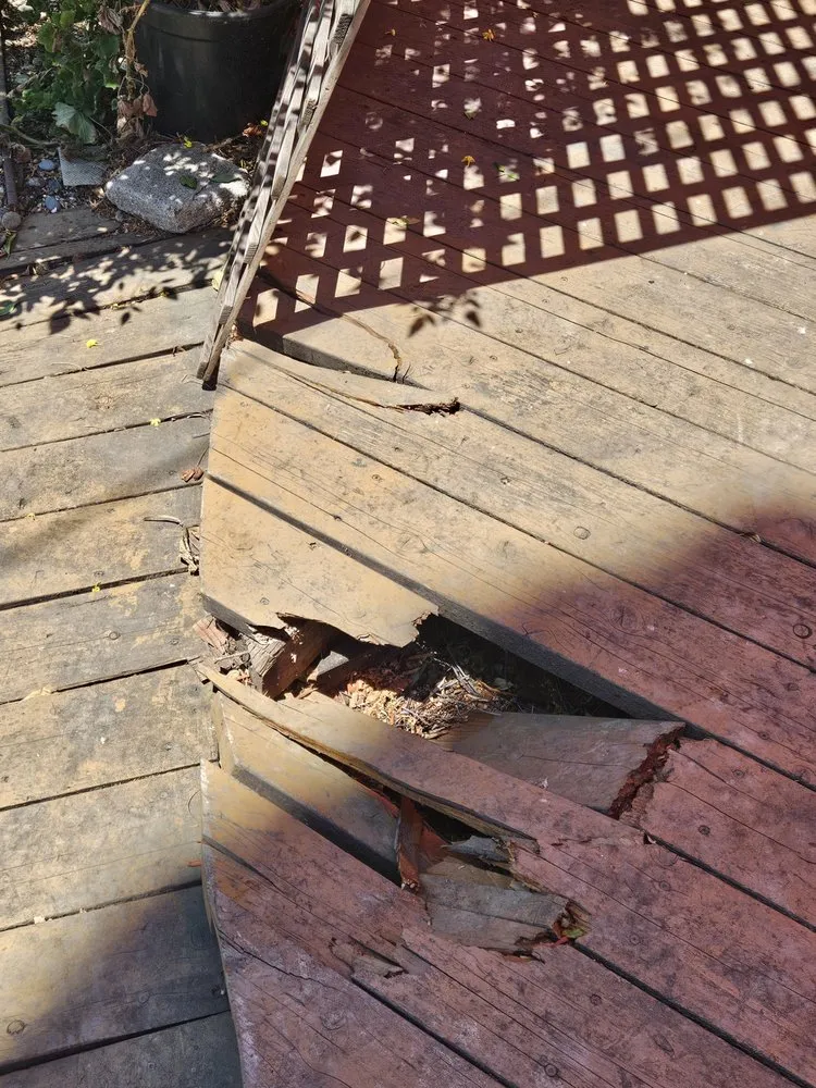 Expert lawn care service near you in Long Beach, CA by Jimmie's Tree Service