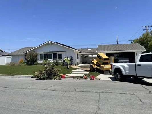 Jimmie's Tree Service