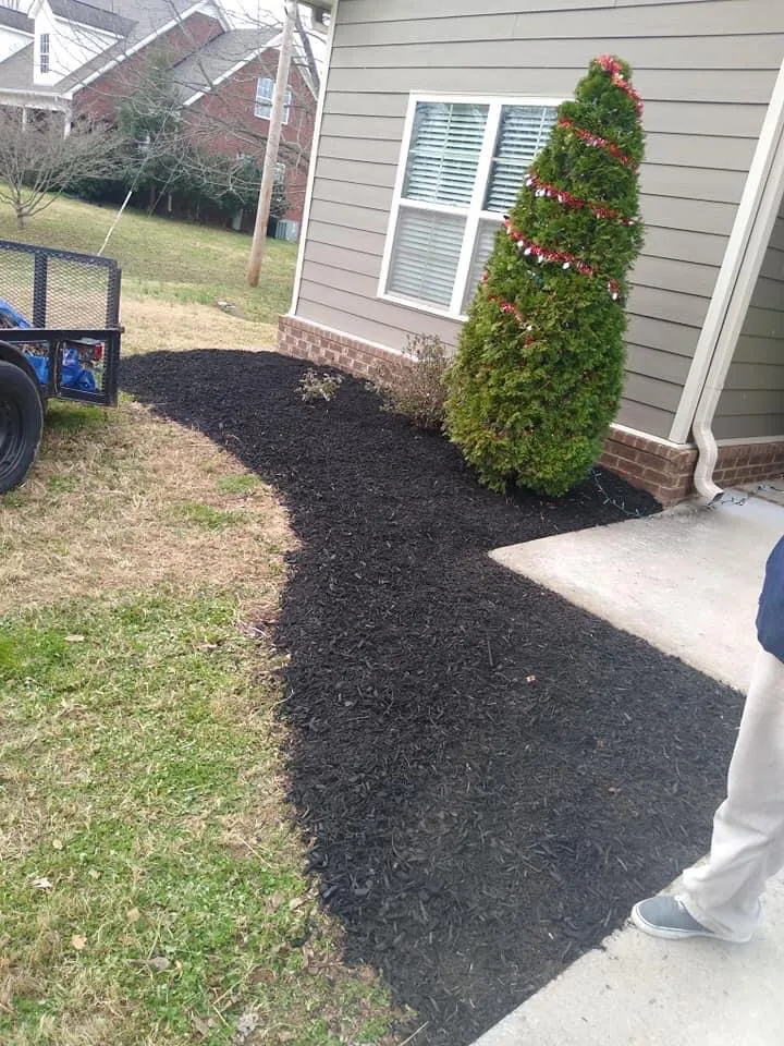Affordable yard maintenance for beautiful yards in Columbia, TN by Jimmy Duz Lawn Care