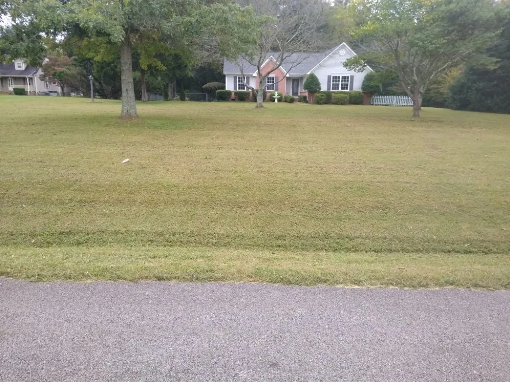 Affordable outdoor landscaping in Columbia, TN - Jimmy Duz Lawn Care