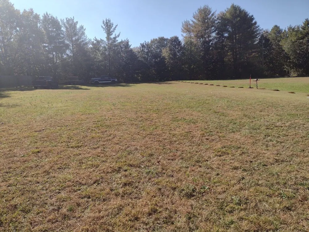 Affordable yard maintenance in Columbia, TN by Jimmy Duz Lawn Care