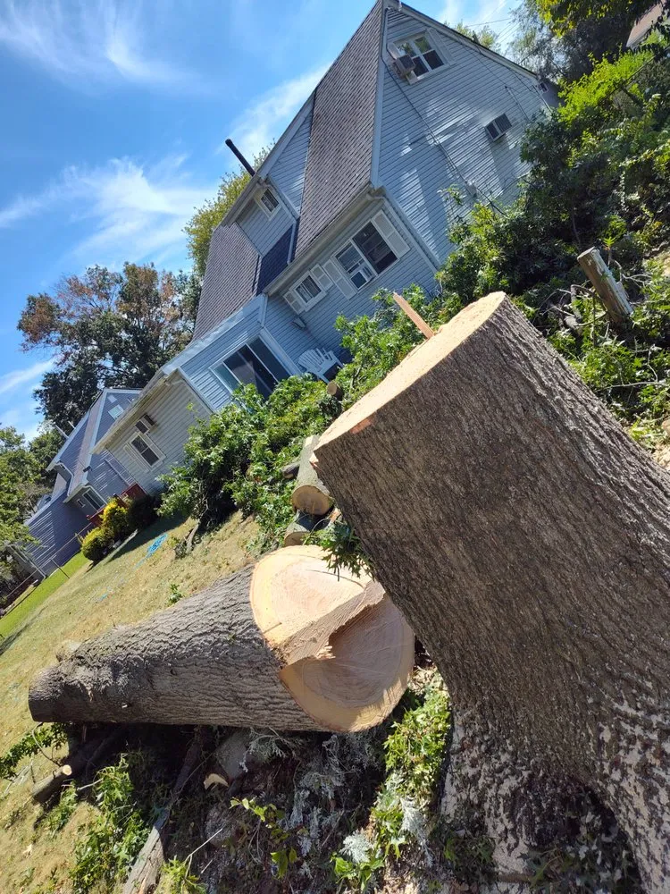 Top-rated landscape design for homes across Brick Township, NJ - Jimmy Landscaping