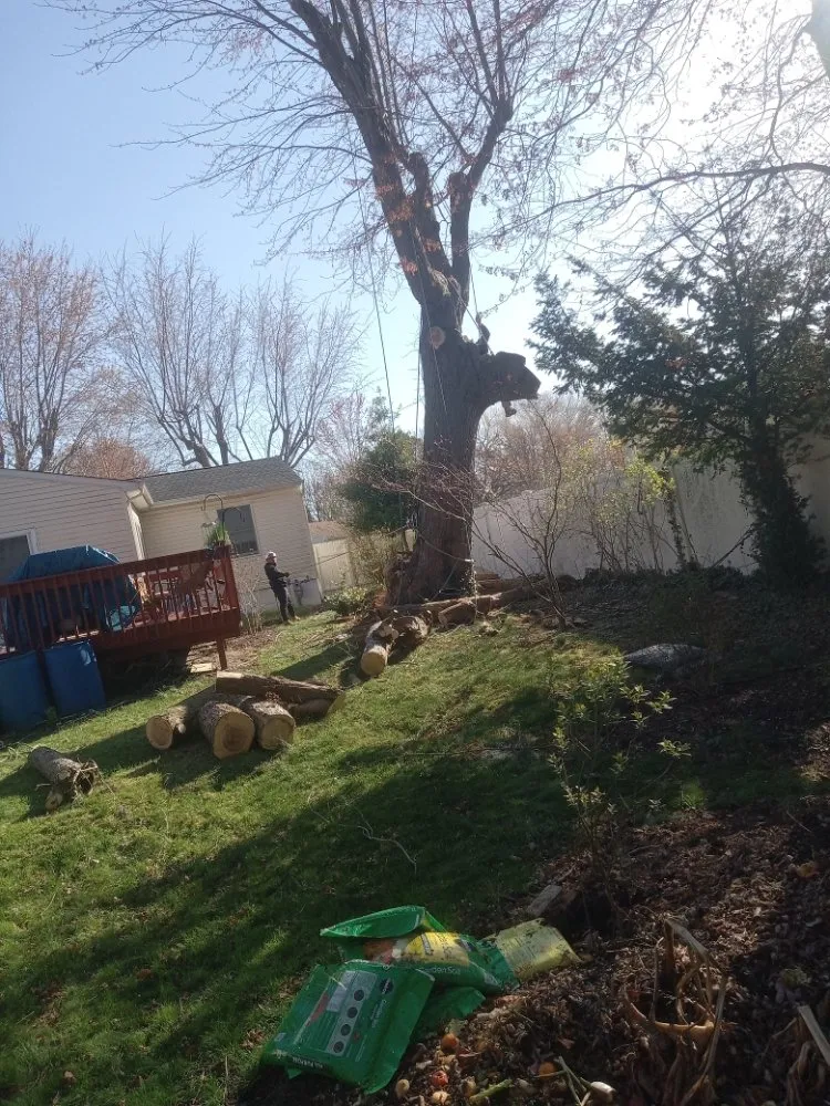 Reliable yard maintenance in Brick Township, NJ by Jimmy Landscaping