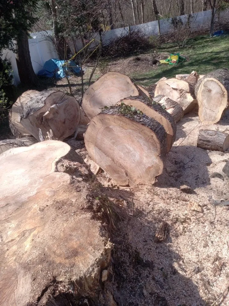 Custom landscaping services experts serving Brick Township, NJ - Jimmy Landscaping