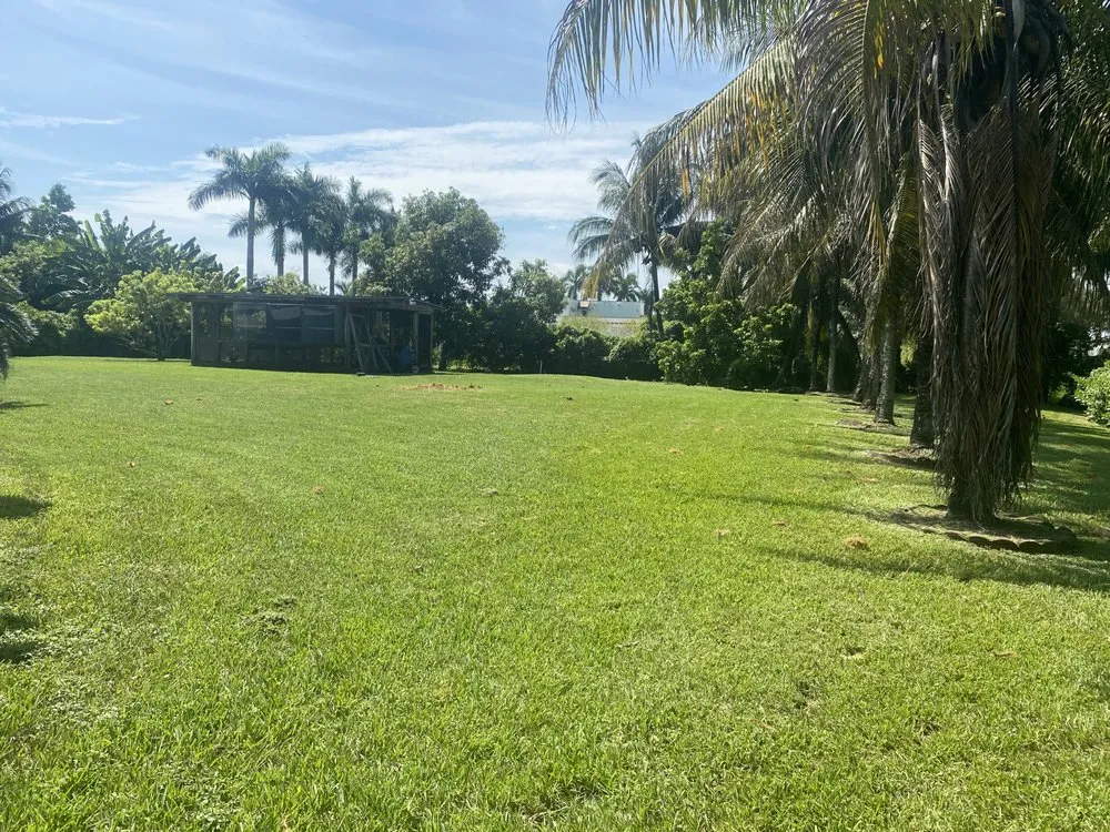 Local lawn mowing service experts serving Miami Lakes, FL - Jimmy Landscaping