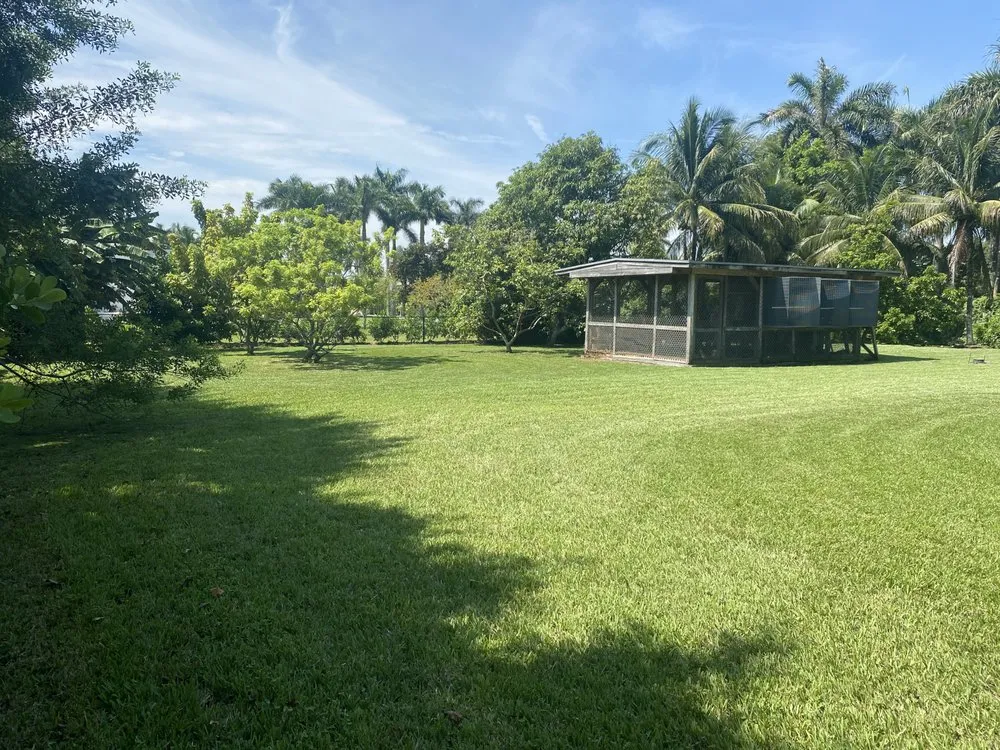 Expert yard cleanup service experts serving Miami Lakes, FL - Jimmy Landscaping