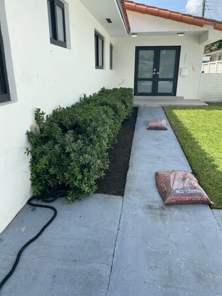 Reliable landscape design experts serving Miami Lakes, FL - Jimmy Landscaping