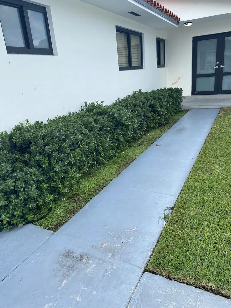 Custom yard maintenance for outdoor upgrades across Miami Lakes, FL - Jimmy Landscaping