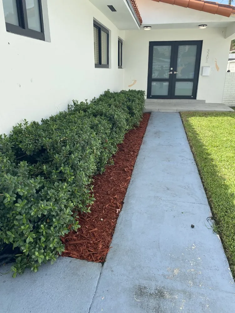 Expert garden landscaping experts serving Miami Lakes, FL - Jimmy Landscaping