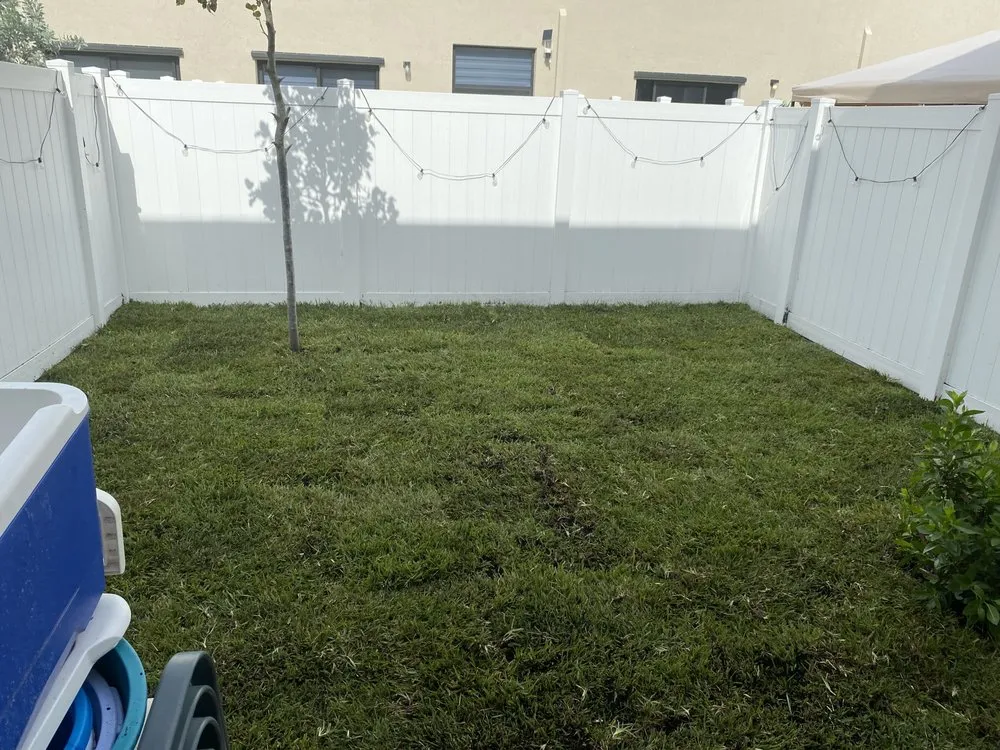 Affordable yard cleanup service for residential properties in Miami Lakes, FL by Jimmy Landscaping