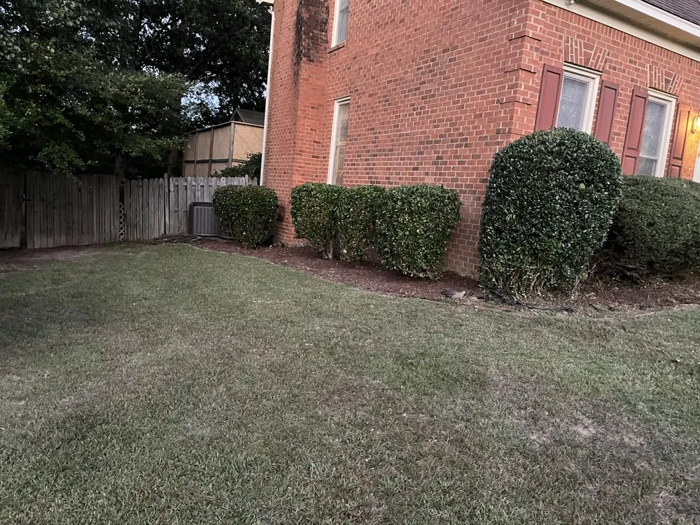 Top-rated residential landscaping experts serving Lexington, SC - Jimmy Stewart Lawn Care