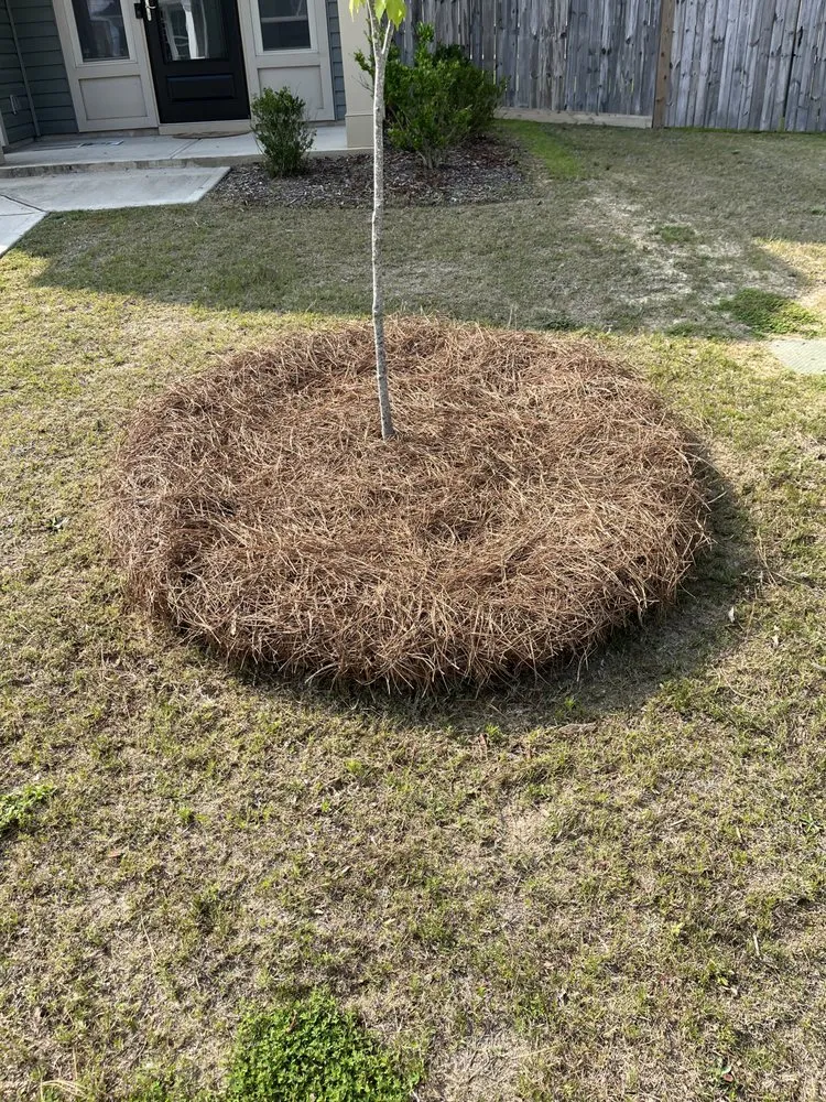 Reliable garden landscaping for residential properties in Lexington, SC by Jimmy Stewart Lawn Care