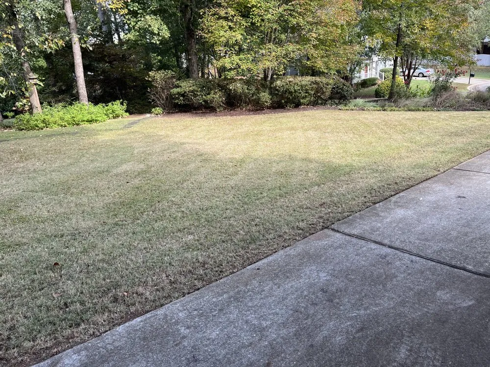 Reliable yard cleanup service for beautiful yards across Lexington, SC - Jimmy Stewart Lawn Care