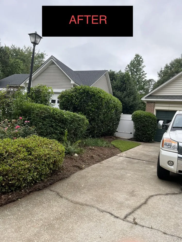 Trusted yard cleanup service for beautiful yards in Lexington, SC by Jimmy Stewart Lawn Care