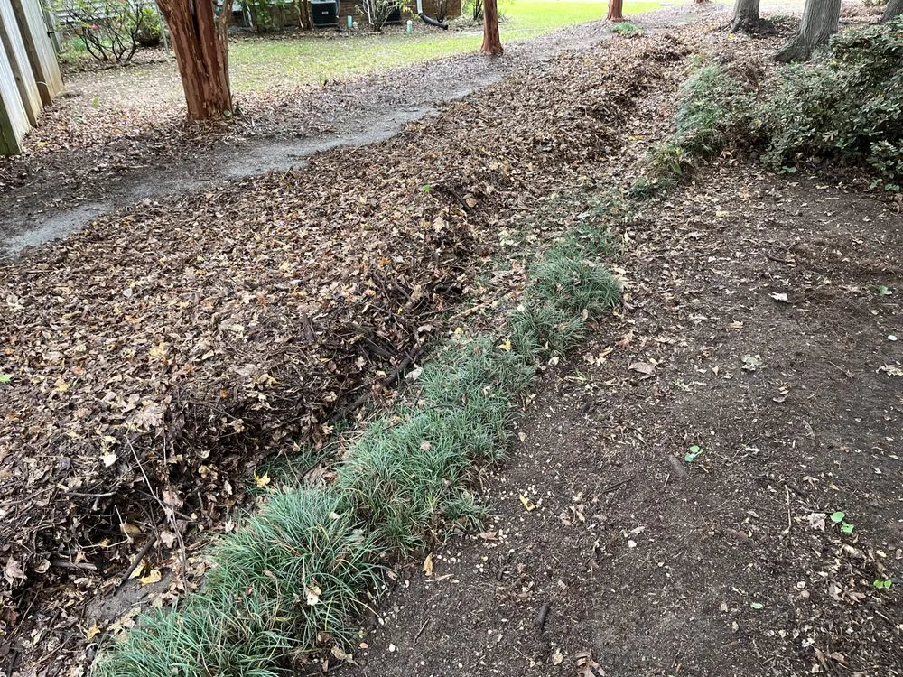 Top-rated outdoor landscaping for homes in Lexington, SC by Jimmy Stewart Lawn Care