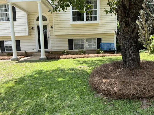 Jimmy Stewart Lawn Care