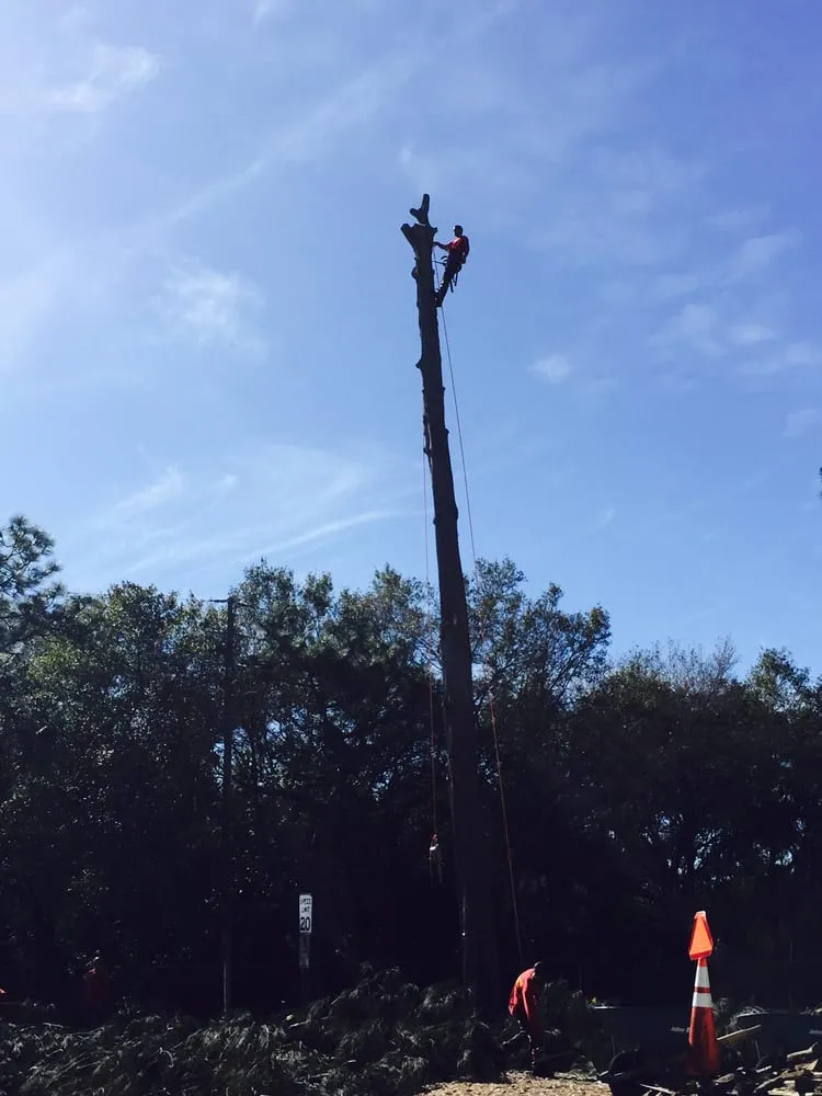 Custom landscaping services in Pinellas Park, FL by Jimmy Willett Tree Service