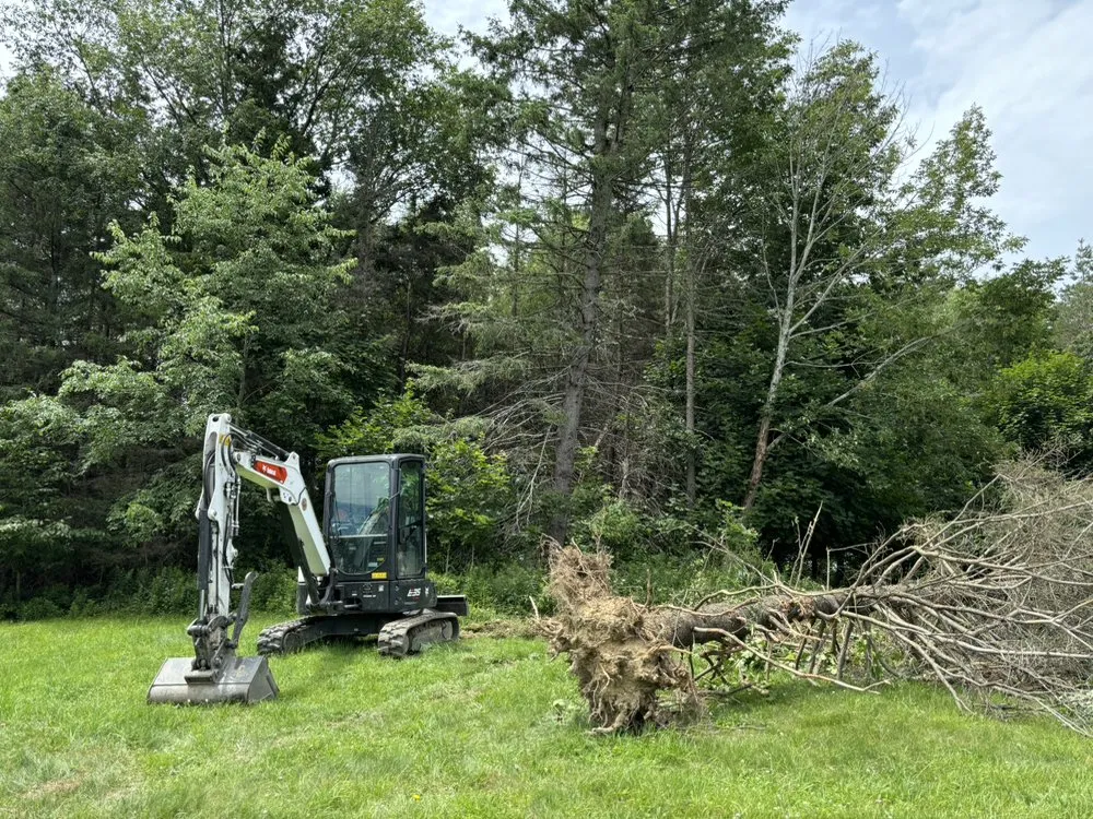 Local lawn care service experts serving Gerry, NY - Jimmys Handyman & Excavation Services
