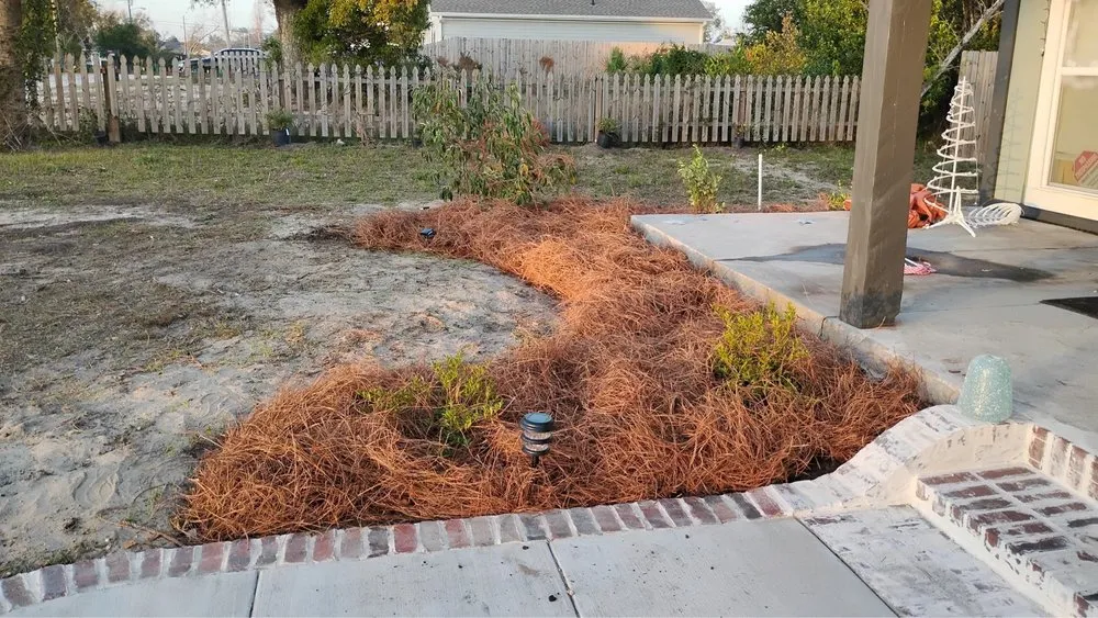 Reliable yard maintenance for homes across Panama City, FL - Jimmy's Home and Lawn maintenance