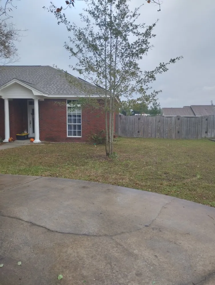 Professional yard cleanup service in Panama City, FL by Jimmy's Home and Lawn maintenance