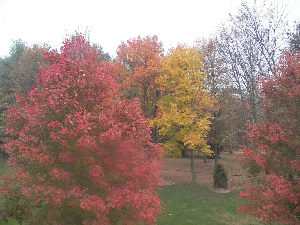 Trusted landscape design in Great Falls, VA - Jimmy's Landscaping