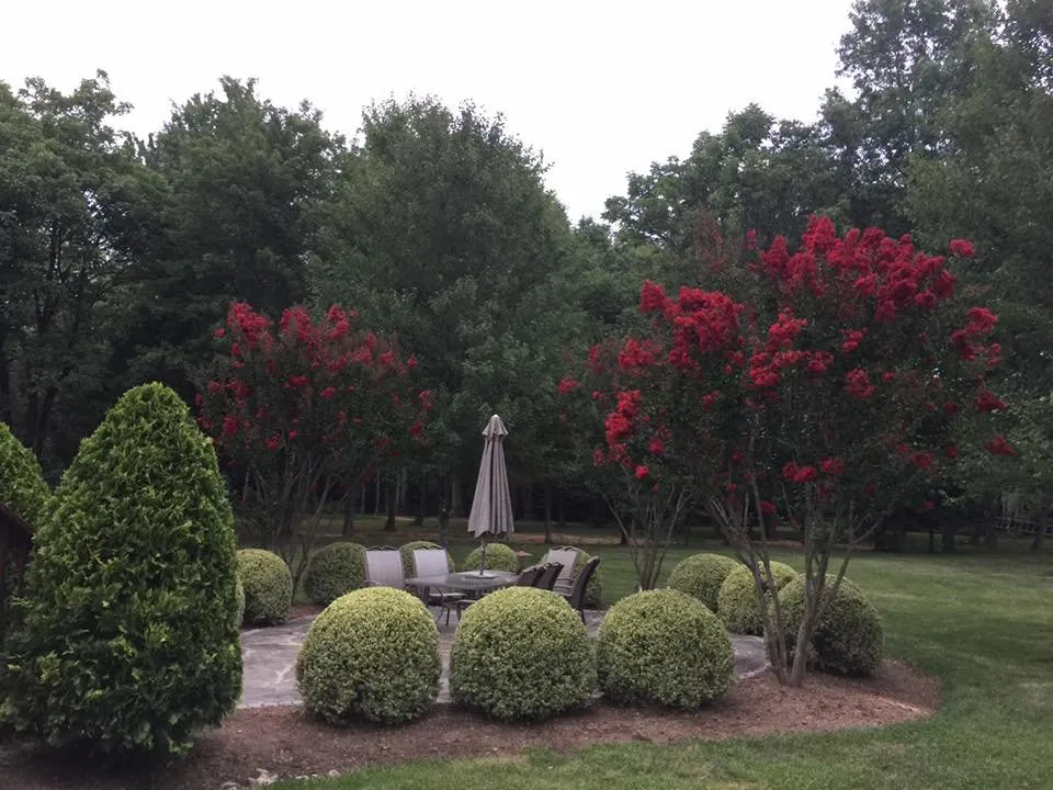 Professional yard maintenance in Great Falls, VA by Jimmy's Landscaping