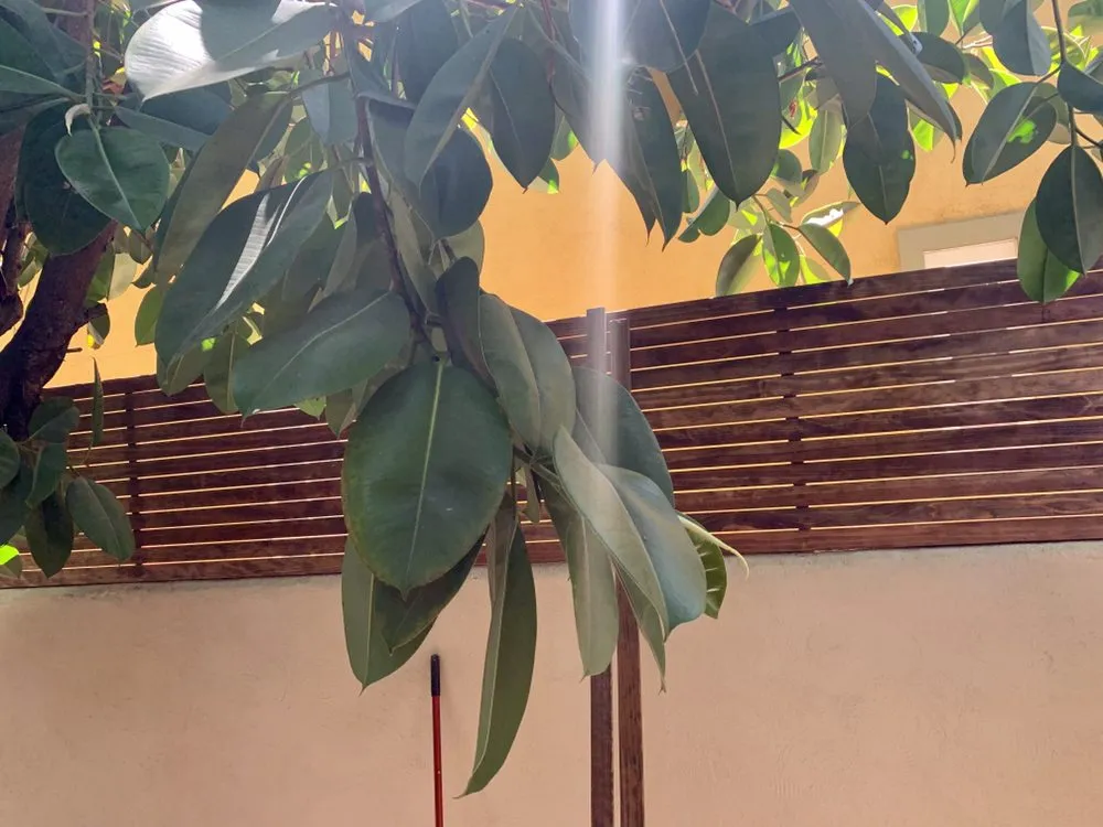 Custom landscape installation experts serving Los Angeles, CA - Jimmys Landscaping