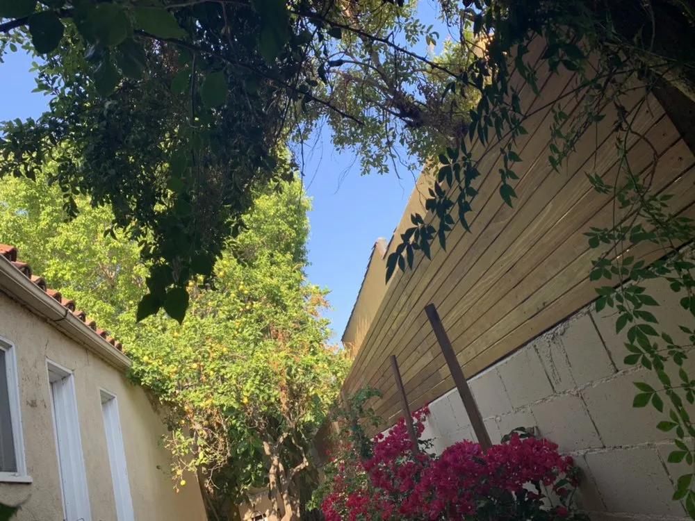 Reliable lawn mowing service in Los Angeles, CA by Jimmys Landscaping