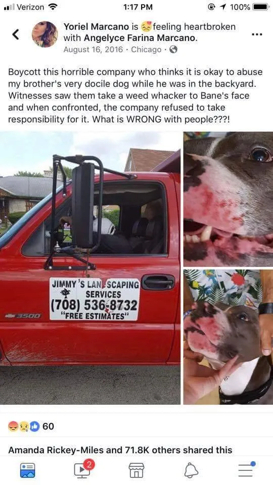 Top-rated landscape design for beautiful yards in La Grange, IL by Jimmy's Landscaping Service