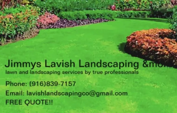 Jimmys Lavish Landscaping &more Logo